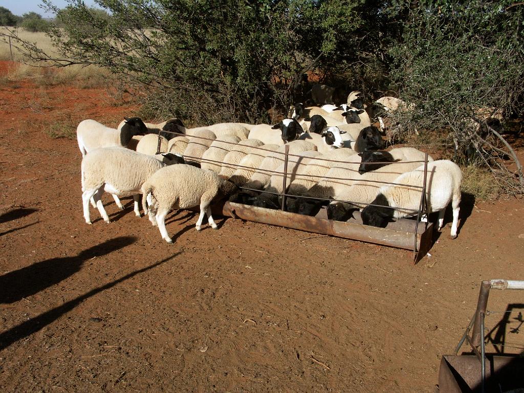 090509_South_Africa 146.jpg